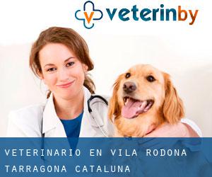 veterinario en Vila-rodona (Tarragona, Cataluña)
