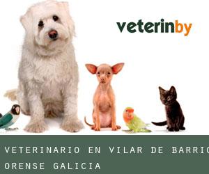 veterinario en Vilar de Barrio (Orense, Galicia)