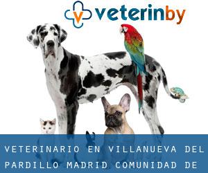 veterinario en Villanueva del Pardillo (Madrid, Comunidad de Madrid)