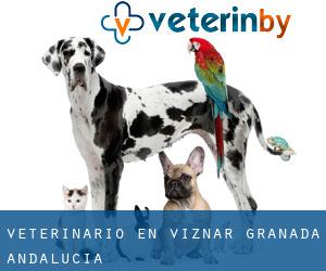 veterinario en Víznar (Granada, Andalucía)