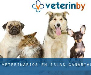 veterinarios en Islas Canarias