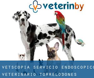VetScopia Servicio Endoscópico Veterinario (Torrelodones)