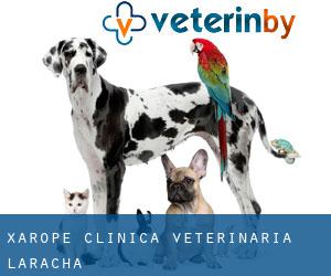 Xarope Clínica Veterinaria (Laracha)